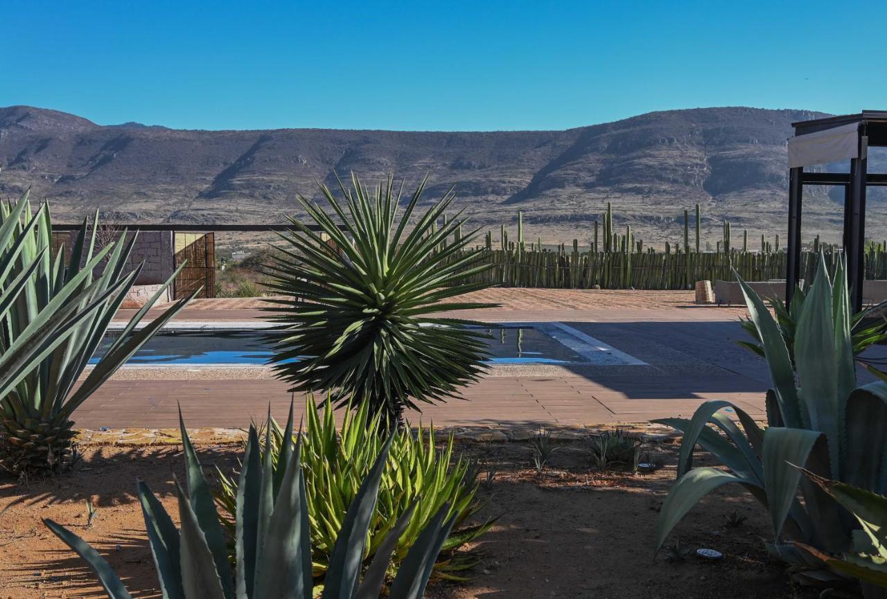 Casa Regina Oaxaca Vila San Pablo Villa de Mitla Exterior foto