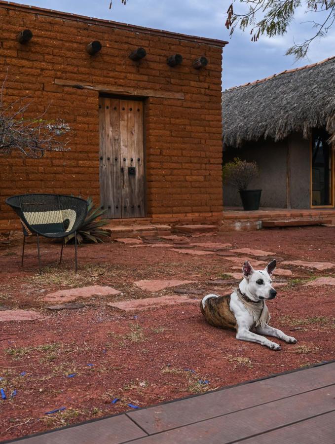 Casa Regina Oaxaca Vila San Pablo Villa de Mitla Exterior foto