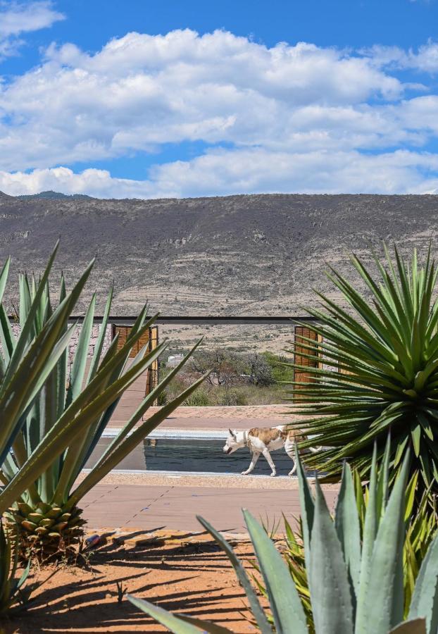 Casa Regina Oaxaca Vila San Pablo Villa de Mitla Exterior foto