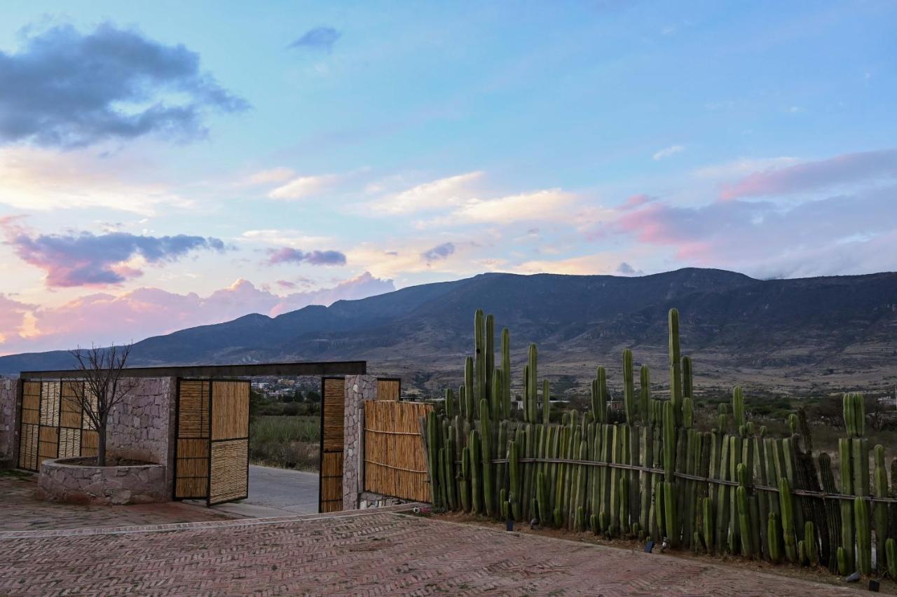 Casa Regina Oaxaca Vila San Pablo Villa de Mitla Exterior foto